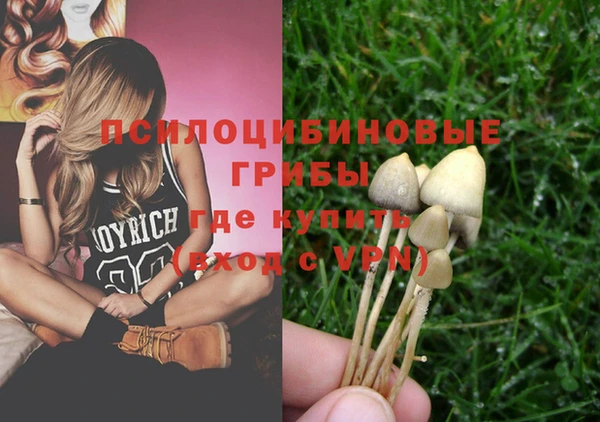 герыч Зерноград
