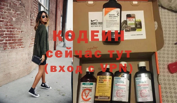 дживик Зеленодольск
