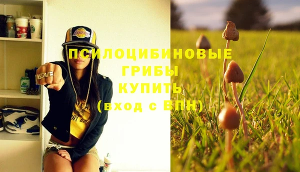 дживик Зеленодольск