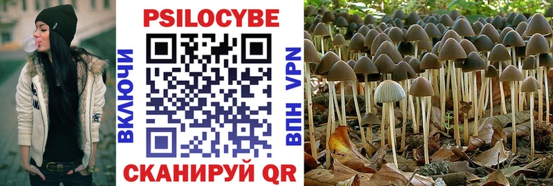 Галлюциногенные грибы GOLDEN TEACHER  Купить где  Дмитров 